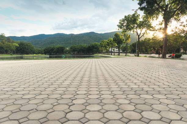 Best Best Driveway Pavers  in Batavia, NY